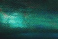 Fish or reptile scale dark moody background Royalty Free Stock Photo