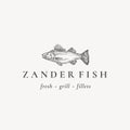 Fish Restaurant or Grill Abstract Vector Sign, Symbol or Logo Template. Hand Drawn Zander Fish with Classy Retro Royalty Free Stock Photo