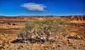 Fish River Canyon Royalty Free Stock Photo