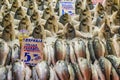 Fish on Sale, Dimotiki Agora Market, Athens Royalty Free Stock Photo