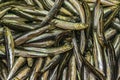 Fish on Sale, Dimotiki Agora Market, Athens Royalty Free Stock Photo