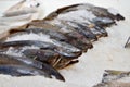 Fish salmon lying on ice on a trade counter store Royalty Free Stock Photo