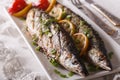 Fish saury grilled with lemon and chives on a plate close-up. Ho