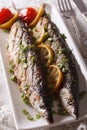 Fish saury grilled with lemon and chives on a plate close-up. vertical