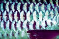 Fish scale texture and fin of common silver carb with seamless patterns for background