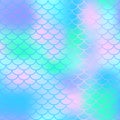 Fish scale texture pattern. Colorful seamless pattern with fish scale net. Royalty Free Stock Photo