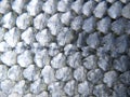 Fish scales