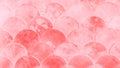 Fish scales japanese pattern. Abstract pink coral color panorama background Royalty Free Stock Photo