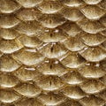 Fish scales seamless pattern