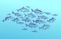 Fish school. Fishes group hand drawn sketch. Restaurant delicacy seafood menu dorado mackerel tuna fresh food design Royalty Free Stock Photo