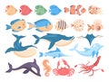 Fish and sea creatures set. Collection of aquatic fauna. Dolphin, whale Royalty Free Stock Photo