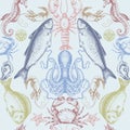 Fish sea vector seamless pattern with crabs octopus seahorse shells starfish and shrimp Royalty Free Stock Photo
