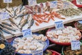 Fish, seafood and bivalves for sale