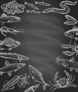 Fish and seafood frame on a chalkboard template, hand drawn graphic illustration with empty space for text