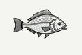 Fish or seafood line art for food apps and website, animals, marine life