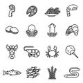 Fish and seafood line icons set. Thin Line Style stock vector.