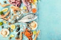 Fish and seafood overhead background with a place for text. Sea bream. shrimps etc