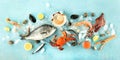 Fish and seafood panorama, a flat lay top shot on a blue background. Fresh sea bream. shrimps, crab, sardines, squid