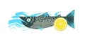Fish. Seafood. Salmon with lemon slice. Vector illustration on white background with blue texture wave