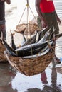 Fish and seafood at seamarket in Sri Lanka Royalty Free Stock Photo