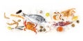 Fish and seafood variety, a flat lay overhead panorama on a white background