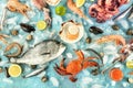 Fish and seafood variety, a flat lay top shot on a blue background