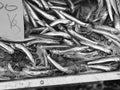 Fish at seamarket Royalty Free Stock Photo