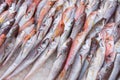 Fish at seamarket Royalty Free Stock Photo