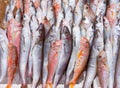 Fish at seamarket Royalty Free Stock Photo