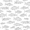 Fish seamless pattern in doodle style. Hand drawn Royalty Free Stock Photo