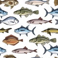 Fish Seamless Pattern. Fish collection