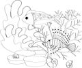 Fish, seashells, seaweed and corals drawn in line art style on white background. Royalty Free Stock Photo