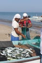 Fish seller in Barka, Oman Royalty Free Stock Photo