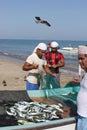 Fish seller in Barka, Oman