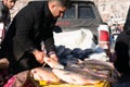 Fish seller in Iraq