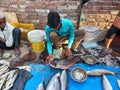 A fish seller in a local market