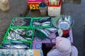A fish sellers in the jimbaran bali fish market. He sells various types of fresh fish that have just been caughta Muslim woman is