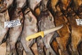 Several dried bream fish are lying on counter