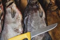 Several dried bream fish are lying on counter