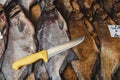 Several dried bream fish are lying on counter