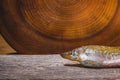 Fish series in the bazaar. Rows of dried fish of different breeds lie on the counter in the market Royalty Free Stock Photo