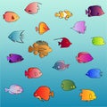 Colorful fishes marine life vector set Royalty Free Stock Photo