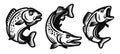 Fish set. Fishing symbol. Carp, pike, perch drawn in decorative monochrome black style. Vector illustration isolated Royalty Free Stock Photo