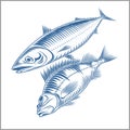 Fish set - sea bass, mackerel