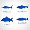 Fish set. vector illustration. Royalty Free Stock Photo