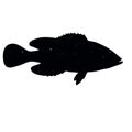 fish shadow animal icon silhouettes isolated on dark black graphical in white