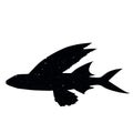 fish shadow animal icon silhouettes isolated on dark black graphical in white