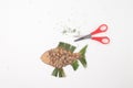 Fish shape made of pine cones and pine needles, white background. red handled scissors next to it, top view, step in DIY Royalty Free Stock Photo