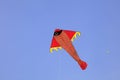fish shaped kites flying in the air Royalty Free Stock Photo