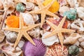 Sea shells and starfishes decorations, close up Royalty Free Stock Photo